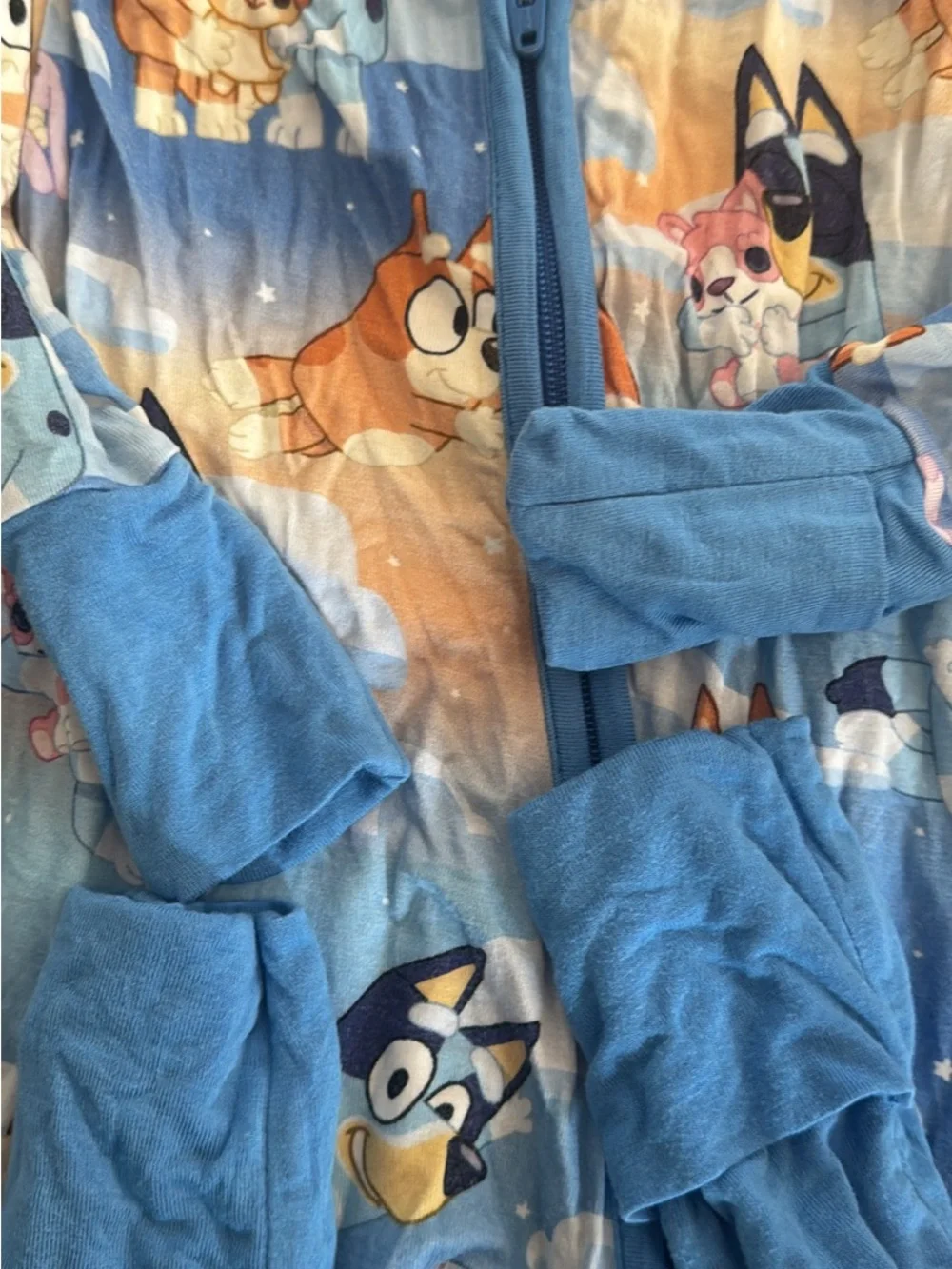 Blue Kids One-Piece Zipper Sleepwear with Cartoon Pup Print little Sleepies 6-12
